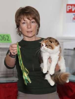 �������� ����� '������� ���-�����' 30 ������-1 ������� 2013., WCF-����� 2911